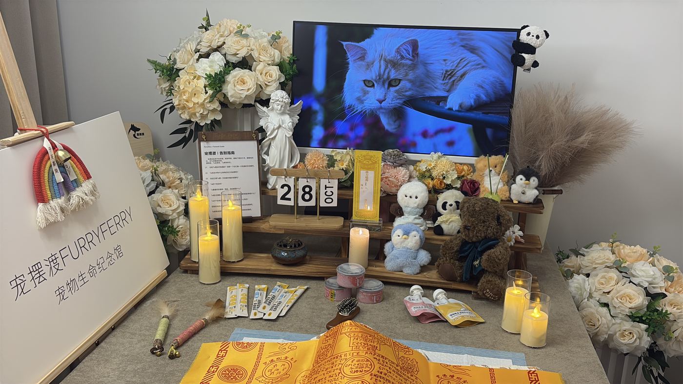 福州宠物告别厅布置：如何给榕城家属一个体面的告别