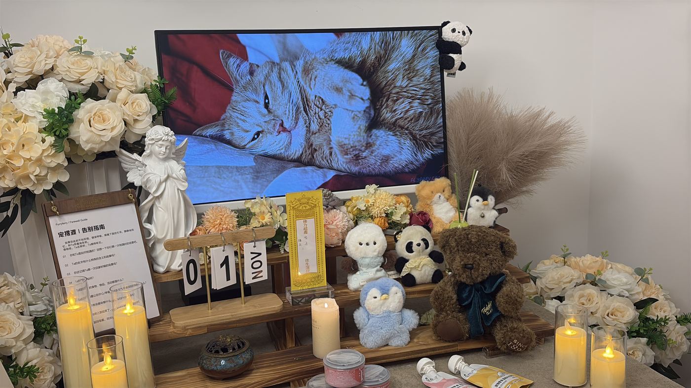 骨灰安置怎么选？福州常见的五种安葬方式对比